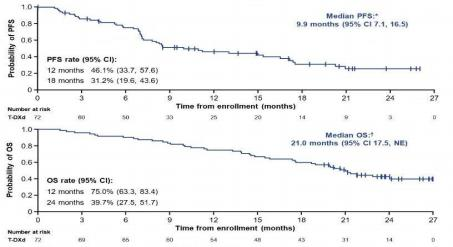 中证策略 李卫东教授：聚焦 HER2 变异晚期 NSCLC 治疗 ，德曲妥珠单抗持续开拓长生存新版图